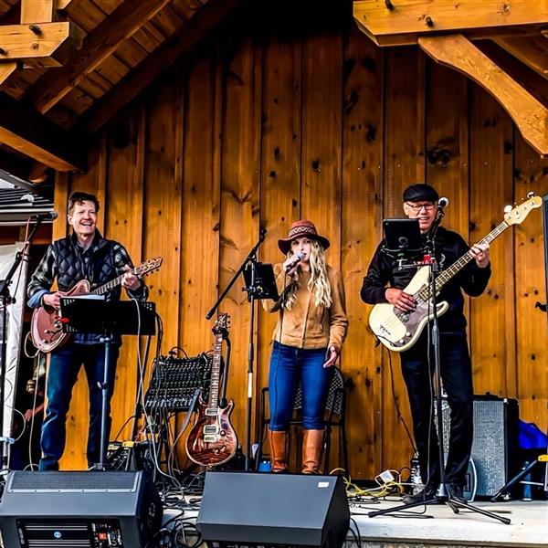 Live! On The Patio: Gram Positive Trio